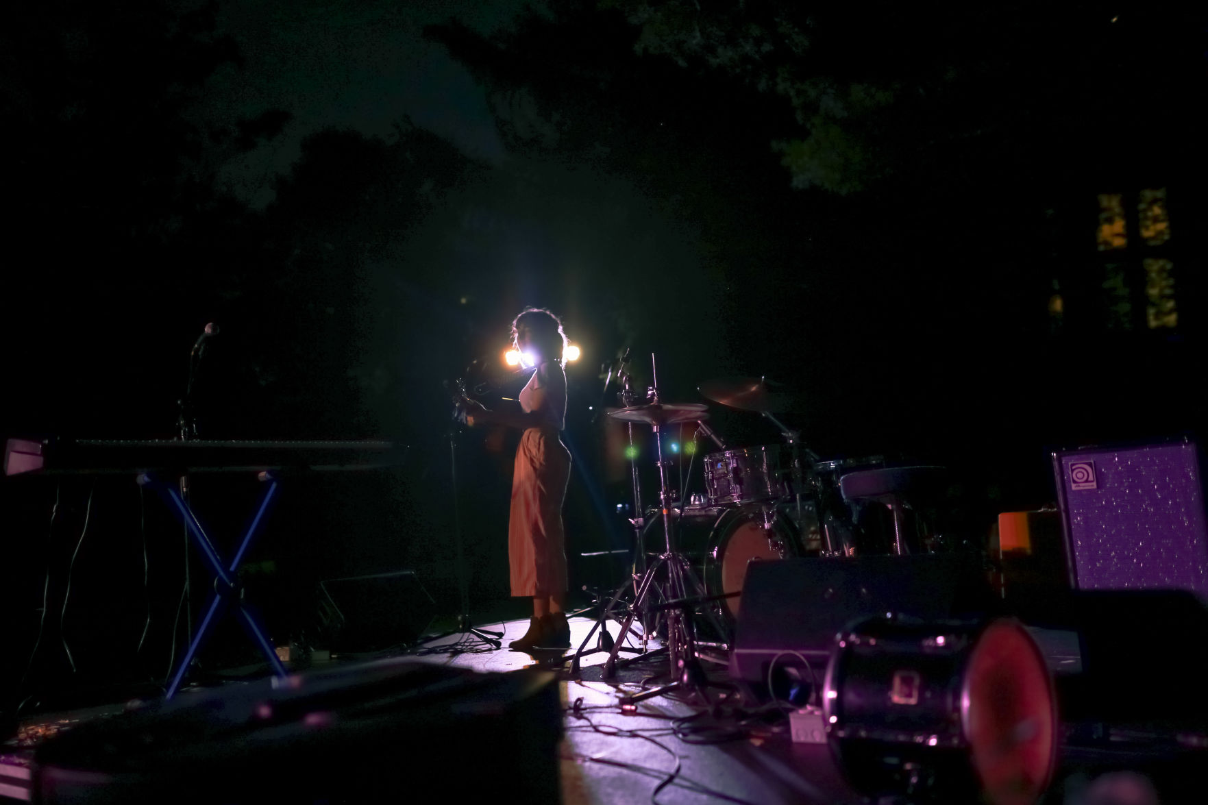 Nuit Violette Oct 8th - Charu Sharma 5